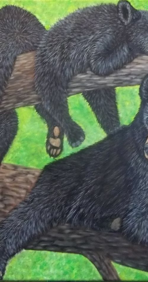 Black Bears, Mama and her Cubs by Sofya Mikeworth