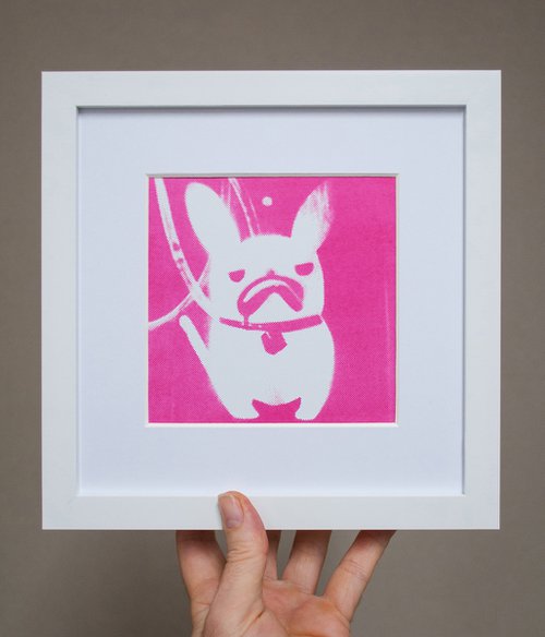 'Snowy' French Bulldog (small framed artists proof) by AH Image Maker