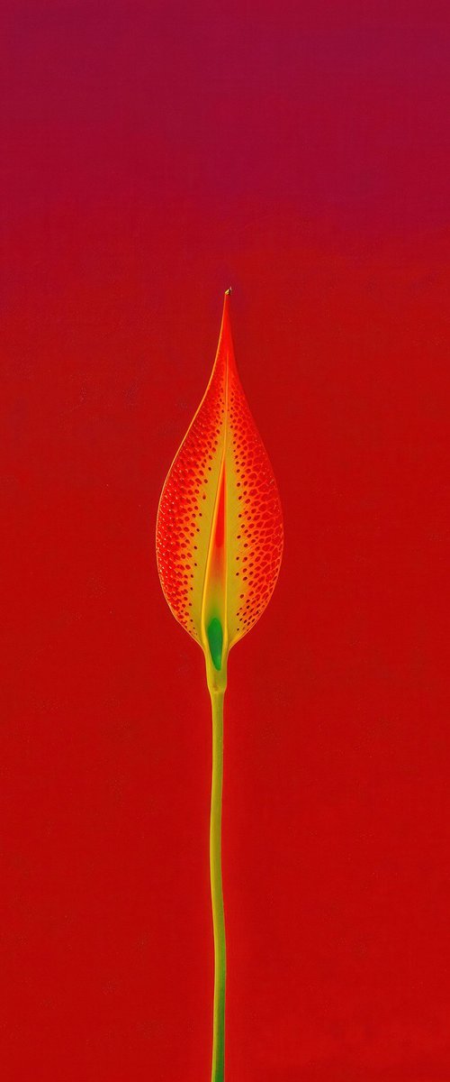 Floral Expressionism XIII by Richard Gibson
