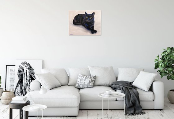 Silent Watcher
