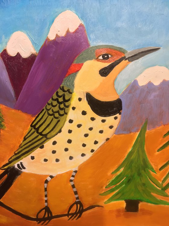 Northern Flicker