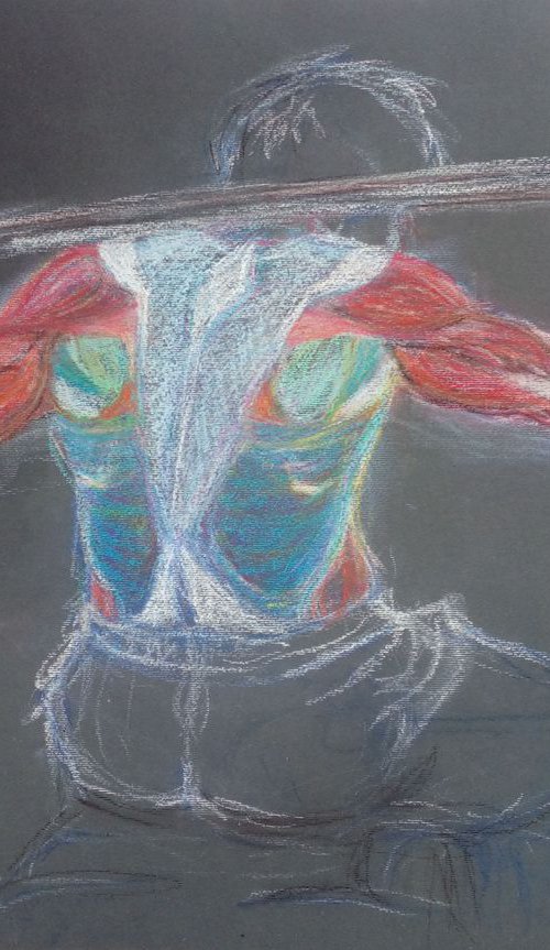 back muscules by Sara Radosavljevic