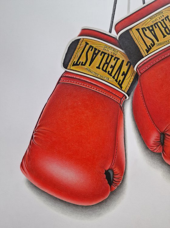 So You Want To Be A Boxer