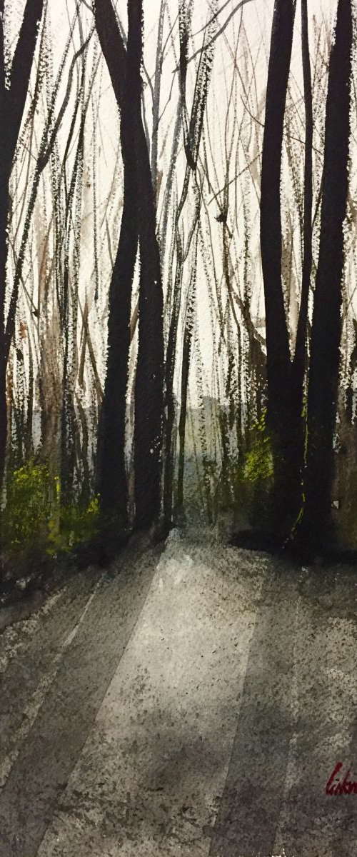 Light in the forrest by Tihomir Cirkvencic