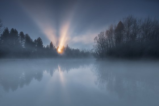 Sunlight Through Morning Mist