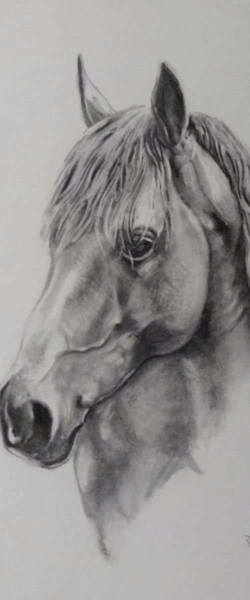 Horse 'champion' by Mel Davies Original Art
