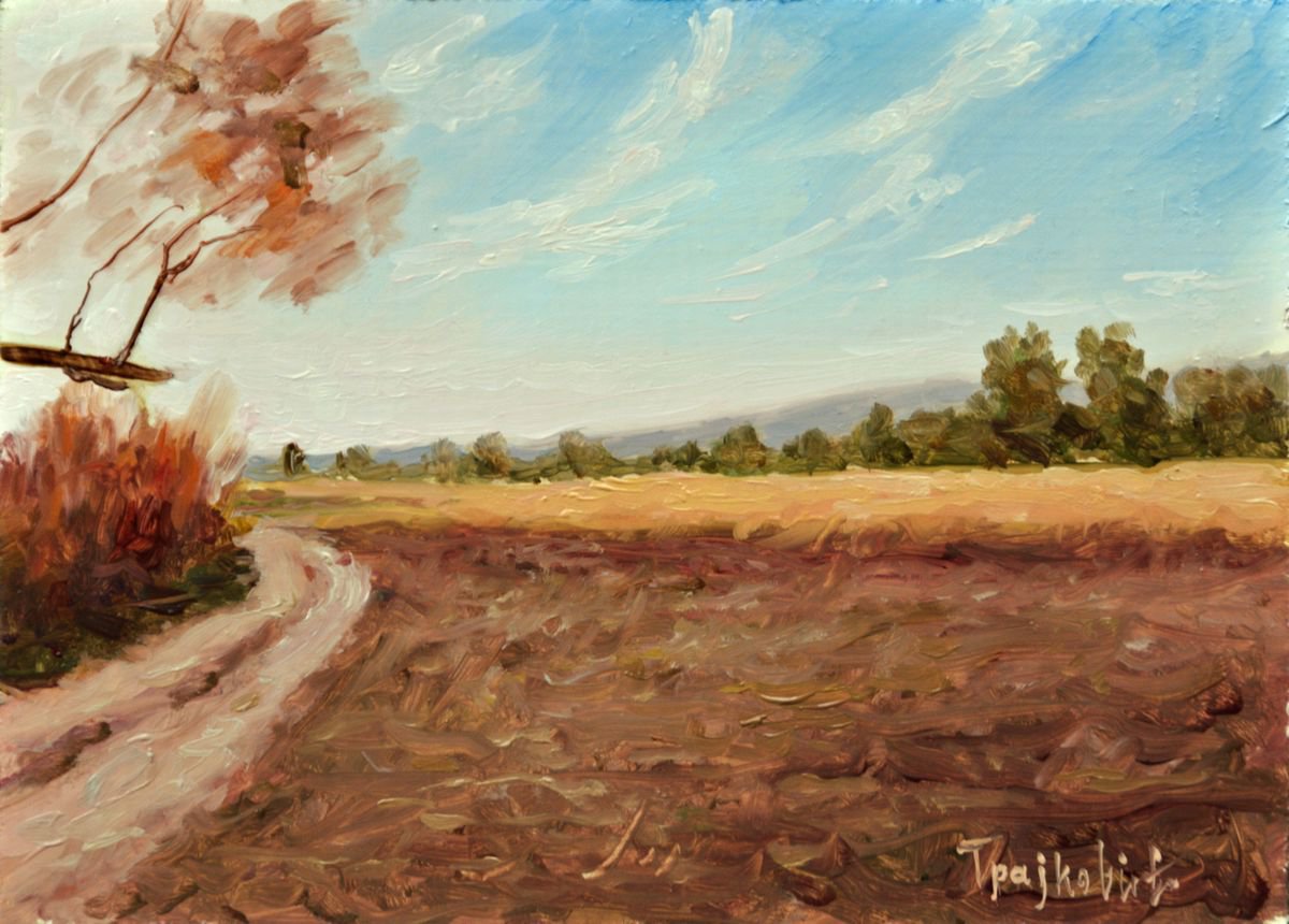 In the Field by Dejan Trajkovic