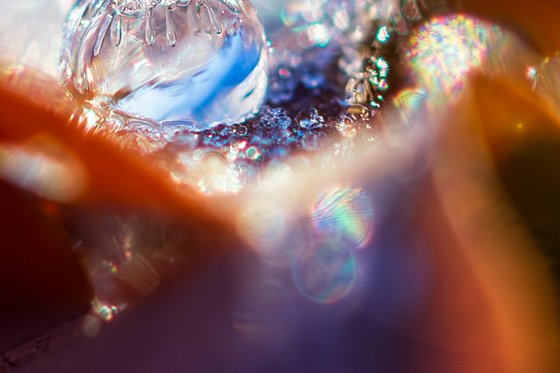 IGLOO ON THE EDGE OF THE FALLEN LEAF