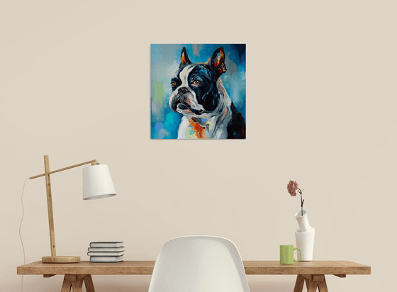 Boston Terrier