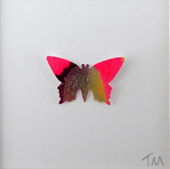 One Red and Gold Butterfly