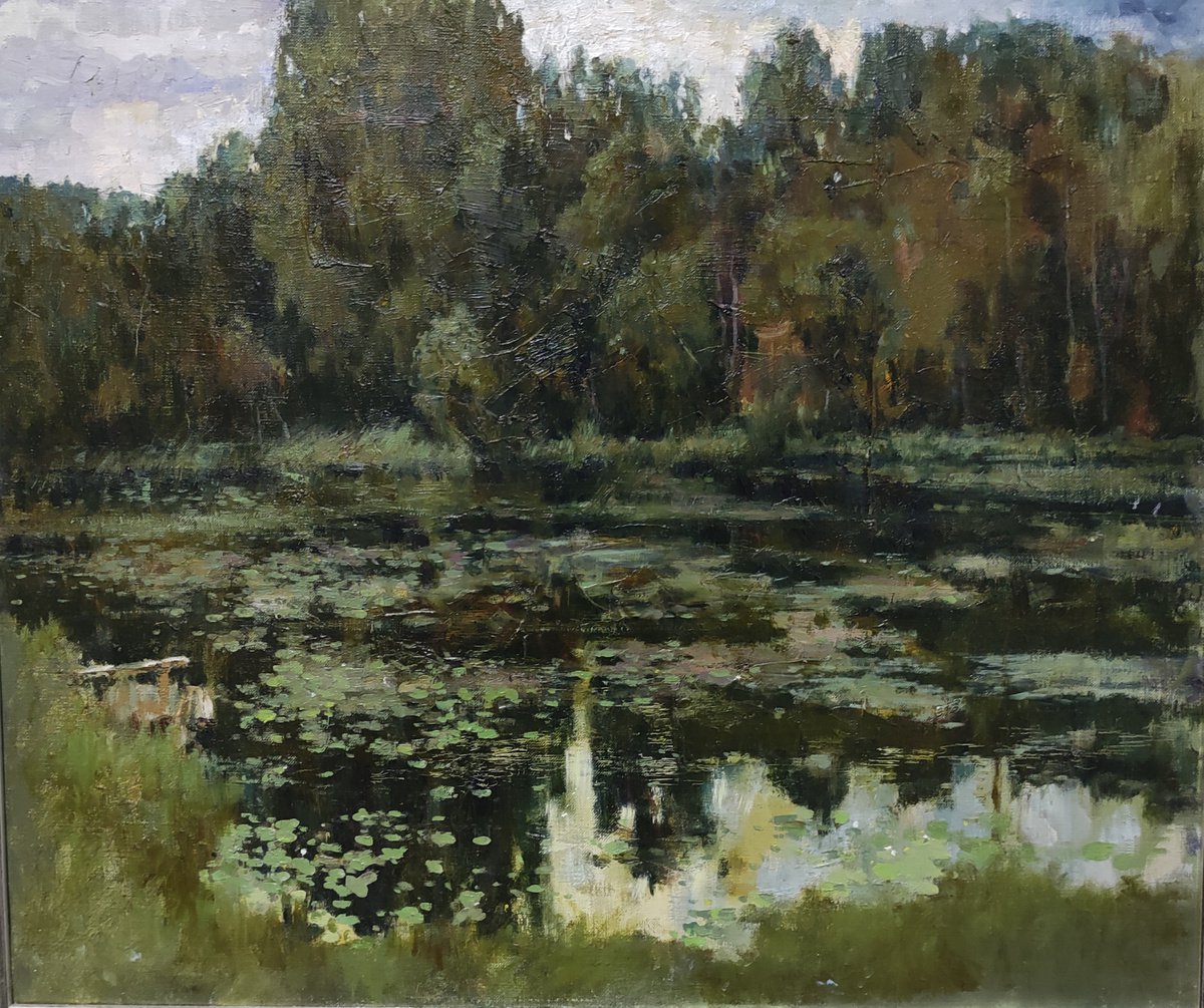 Overgrown pond by Dmitrii Ermolov
