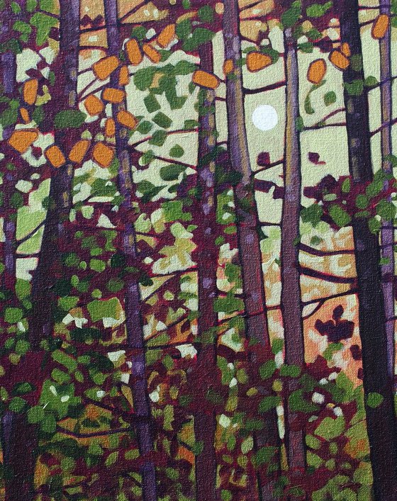 Light Through the Woods