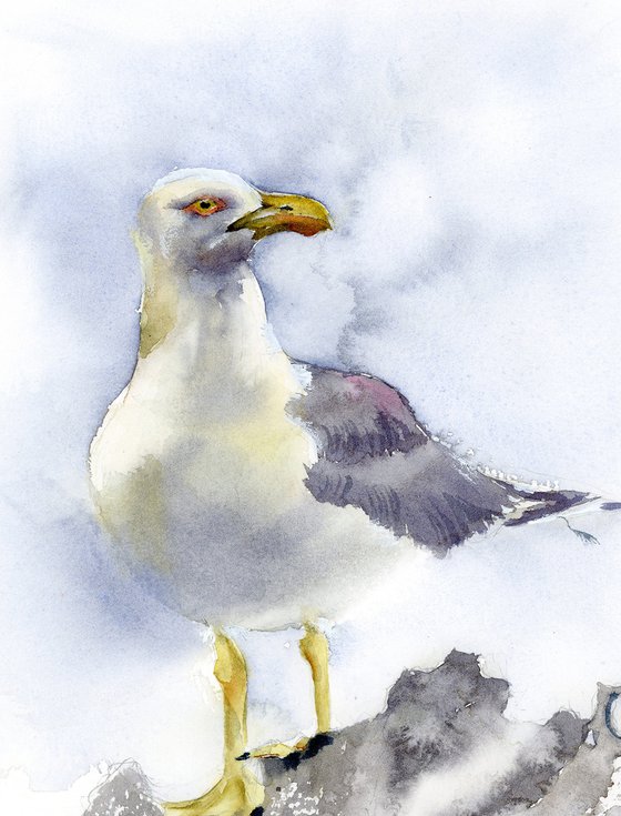 Seagull  -  Original Watercolor Painting