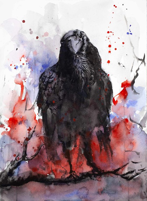 The Raven II