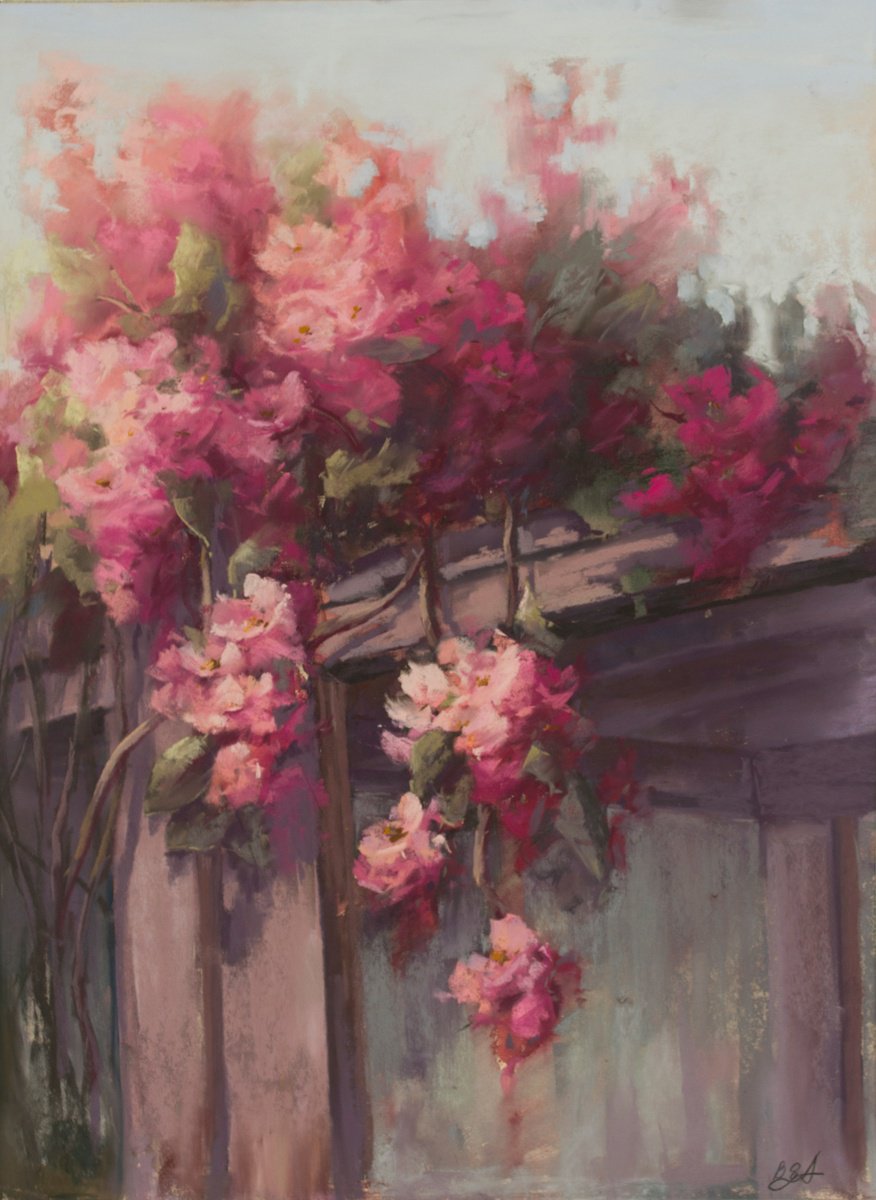 Magenta bougainvillea flowers by Anna Bogushevskaya