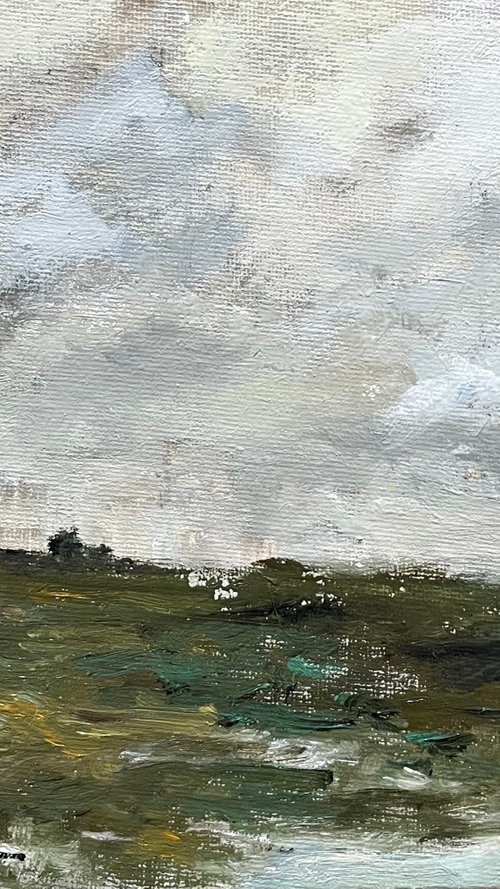 Field, early snow by Irina Zelenina