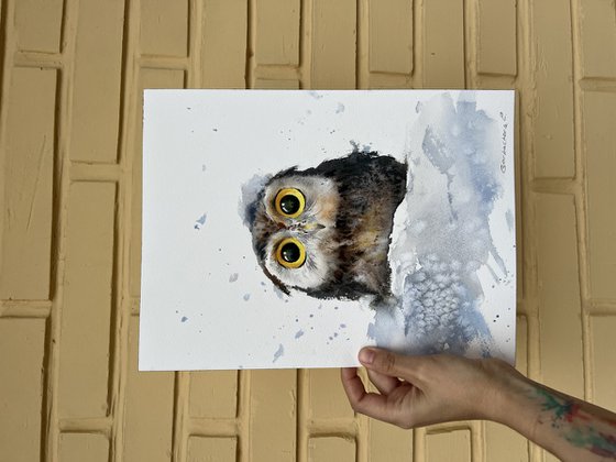 Owlet in a snowdrift