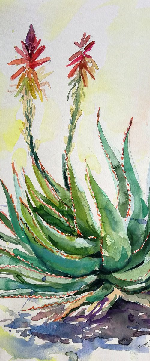 Aloe Vera Cactus Painting by Anna Silabrama