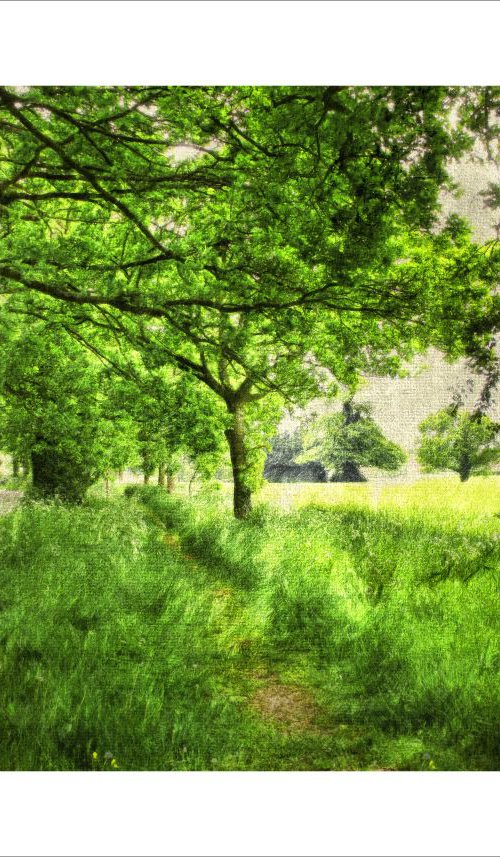 Tree lined Footpath by Martin  Fry