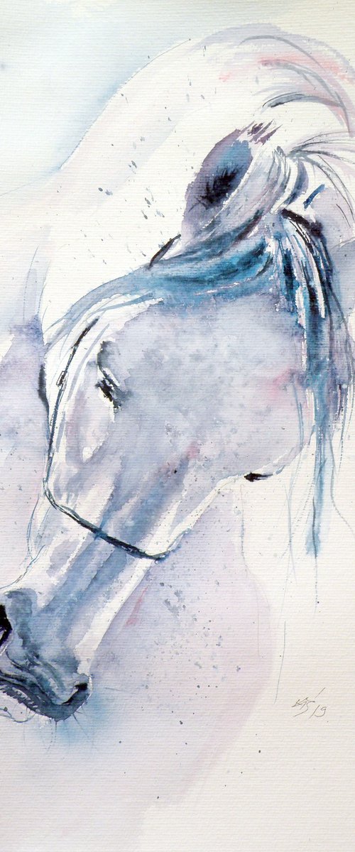 White horse by Kovács Anna Brigitta