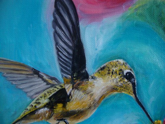 Hummingbird