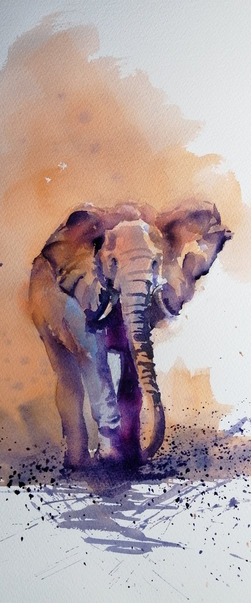 elephant 10 by Giorgio Gosti