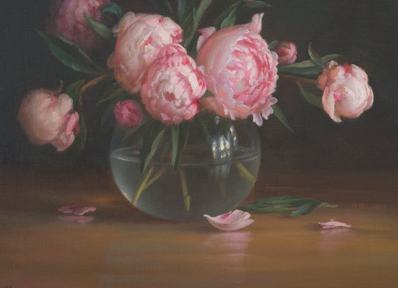 Peonies from an abandoned garden