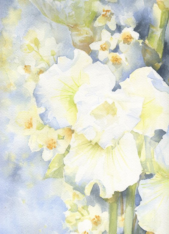 Winter dreams about spring (White irises) / ORIGINAL watercolor 15x22 (38x56cm)