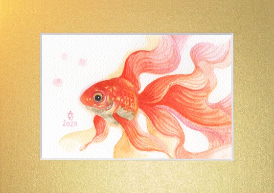 Goldfish 3