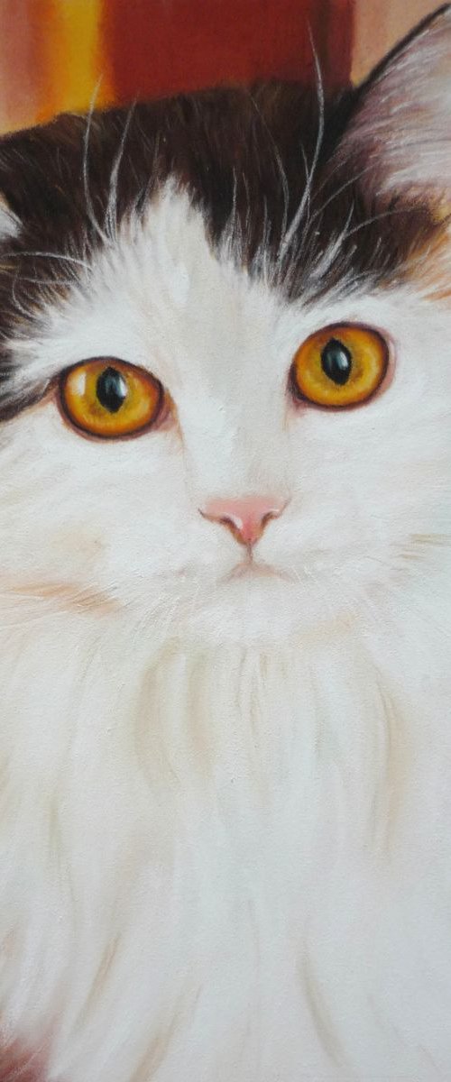 Kitty Muesli. Original Pastel Portrait by Elena Bondarenko