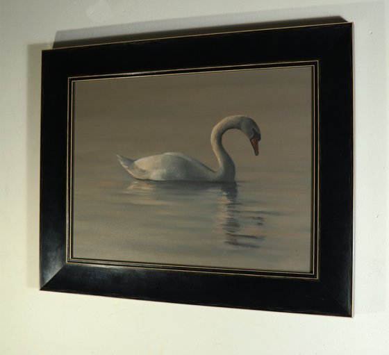 Water Swan at Dusk