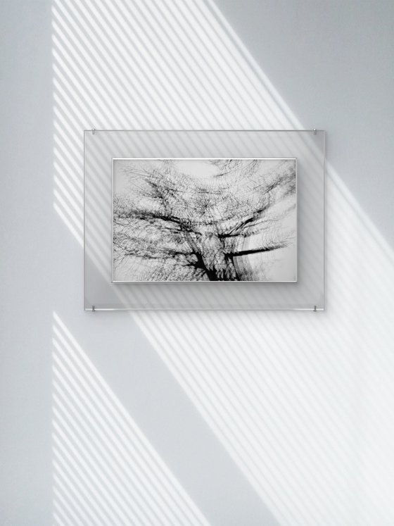 Mirage