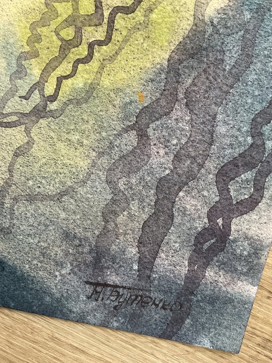 White water lilies \ Reflections