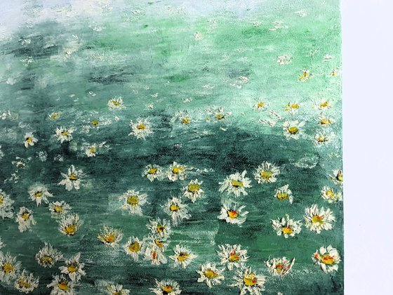 Daisies 2