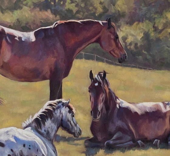 Chilling Out - Three Horses
