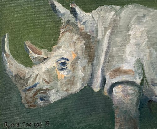 Rhino by Ryan  Louder