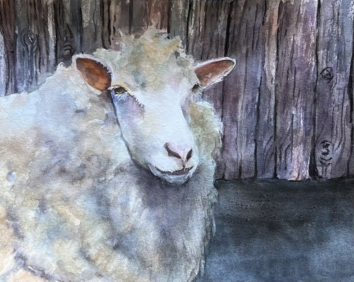 Sheep by Bronwen Jones