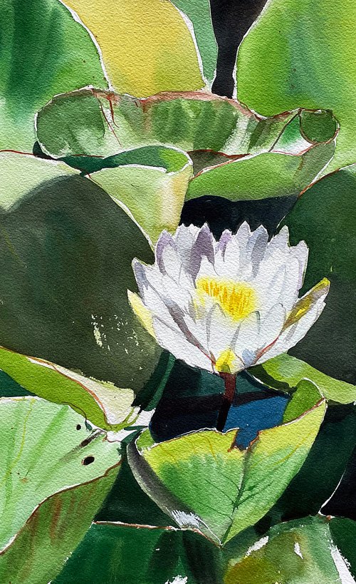 Water Lilies from Geneva II by Ksenia Astakhova