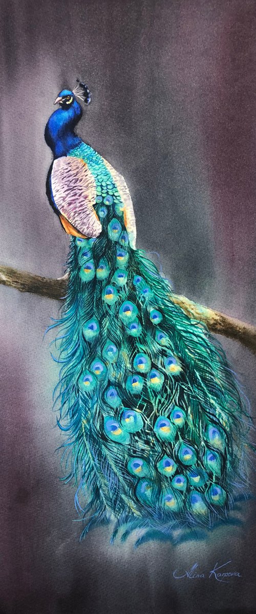 Peacock on branch by Alina Karpova