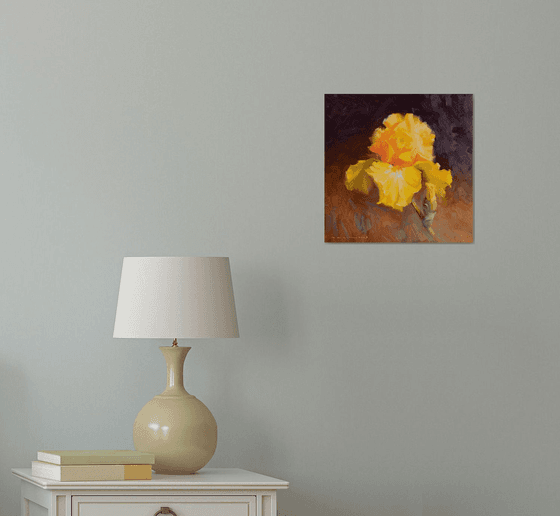 Yellow iris