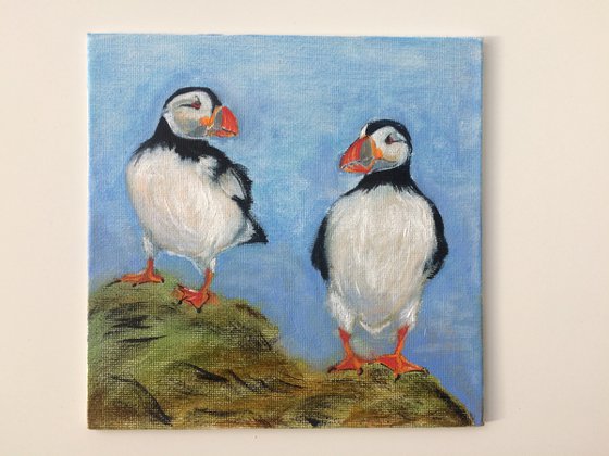 Bird portrait of couple puffins - Gift idea for bird lover