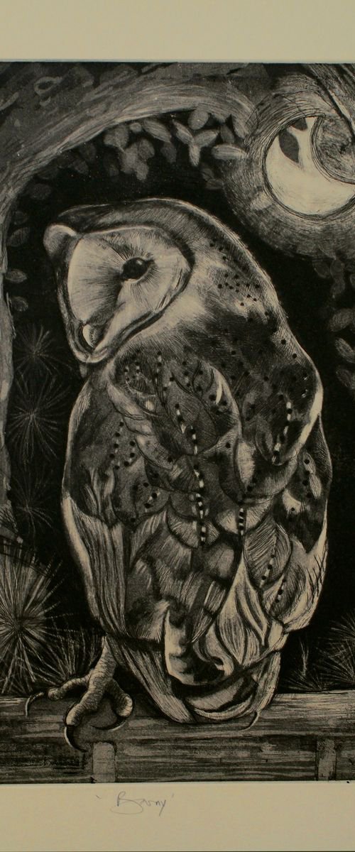 Barn Owl Etching by Isabel Hutchison