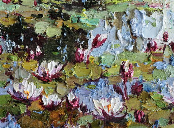 White Water Lilies Pond