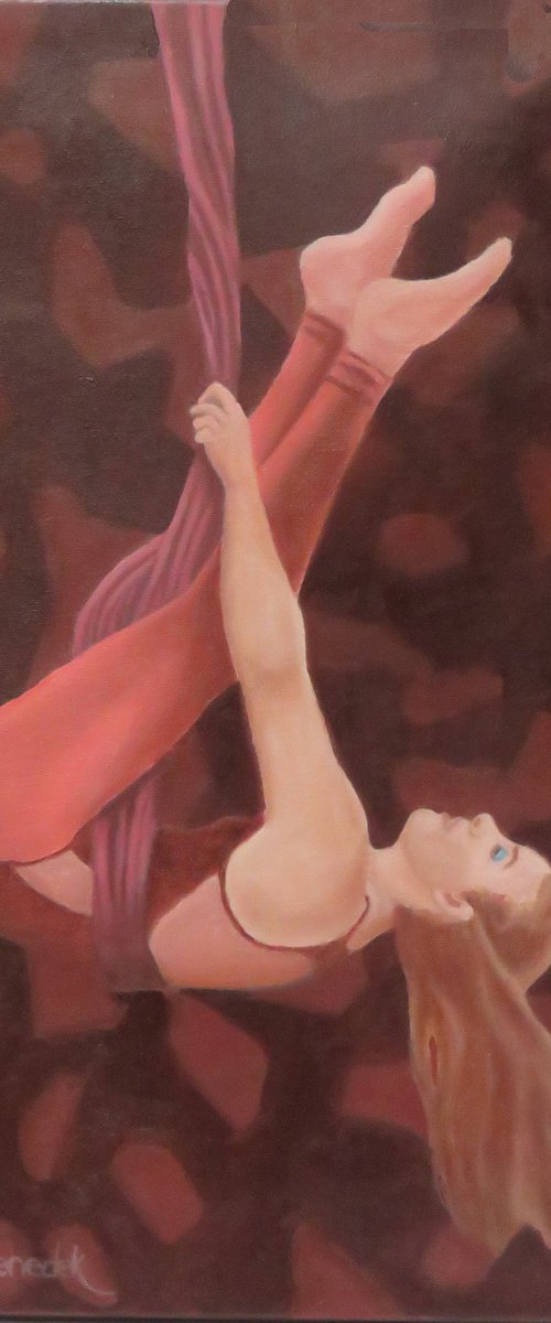 acrobat study by Stephen Benedek