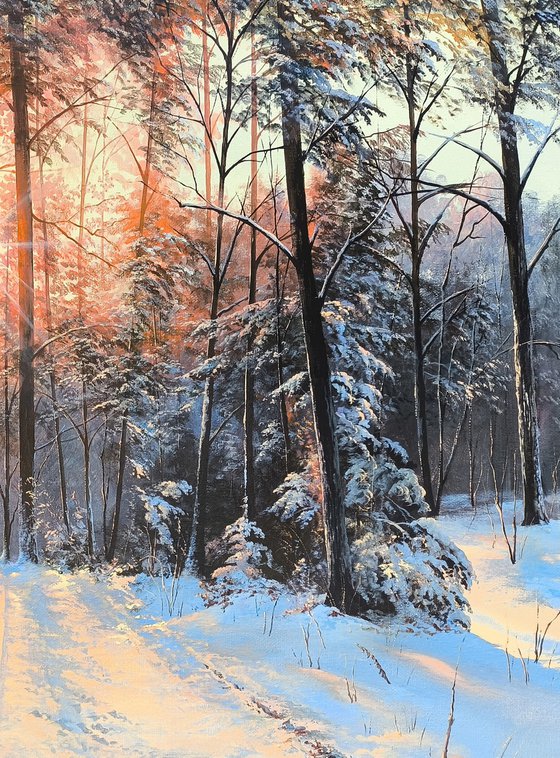 Dawn in the Winter Forest