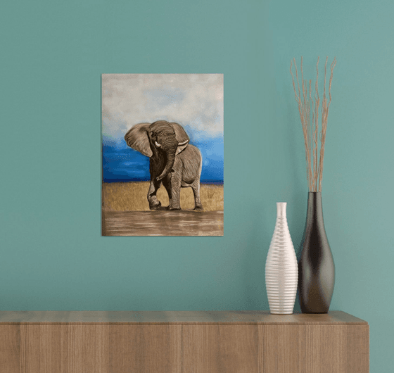 African elephant