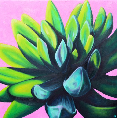 Succulent No.1 by Kate Revill