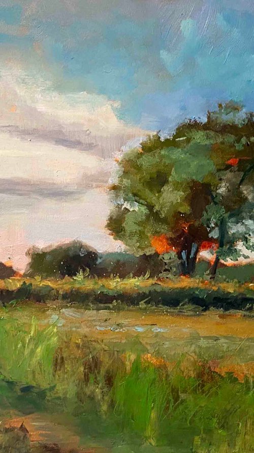 Summer Field by Dennis Crayon