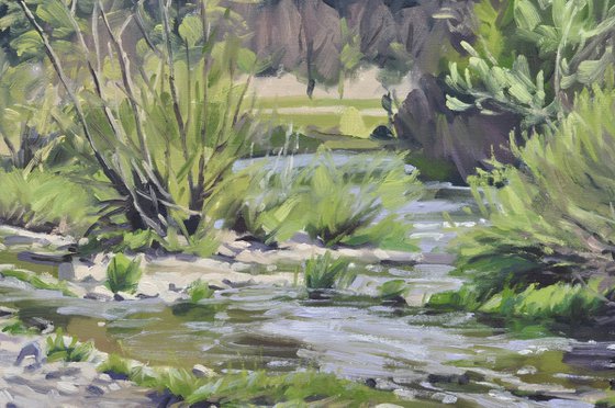 Morning Light on the Loire in Spring