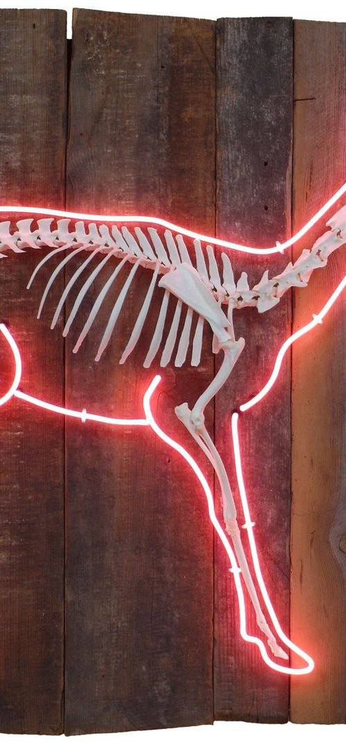 Mortagenic Specimen #1A by Dangerous Minds Artists